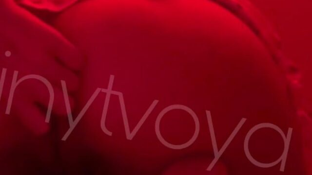 Tinytvoya Nude Anal Dildo Tojistxy Fansly Ppv Video