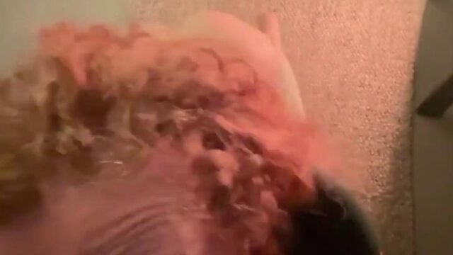 Fullmetal Ifrit Deepthroating Pov Sex Tape Video Leaked